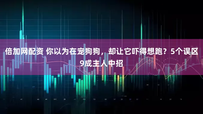 倍加网配资 你以为在宠狗狗，却让它吓得想跑？5个误区9成主人中招