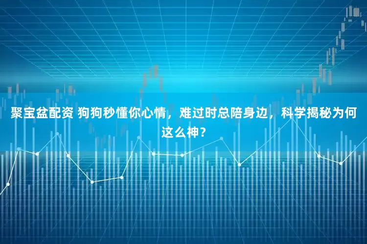 聚宝盆配资 狗狗秒懂你心情，难过时总陪身边，科学揭秘为何这么神？