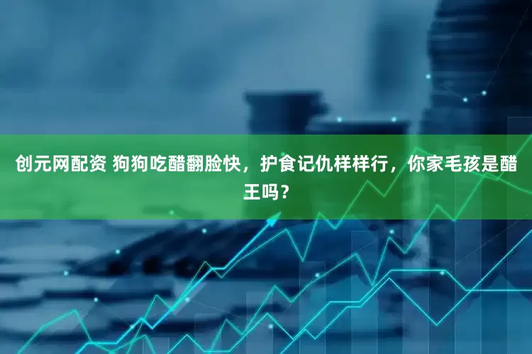 创元网配资 狗狗吃醋翻脸快，护食记仇样样行，你家毛孩是醋王吗？