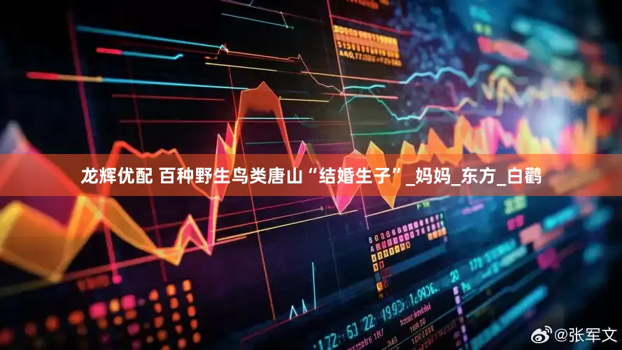 龙辉优配 百种野生鸟类唐山“结婚生子”_妈妈_东方_白鹳