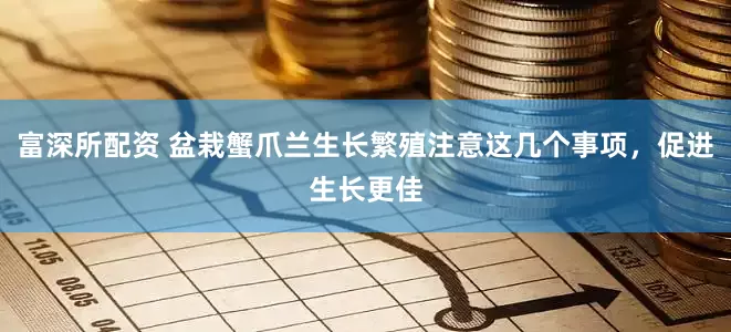 富深所配资 盆栽蟹爪兰生长繁殖注意这几个事项，促进生长更佳