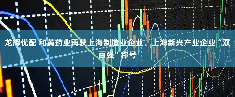 龙辉优配 和黄药业再获上海制造业企业、上海新兴产业企业“双百强”称号