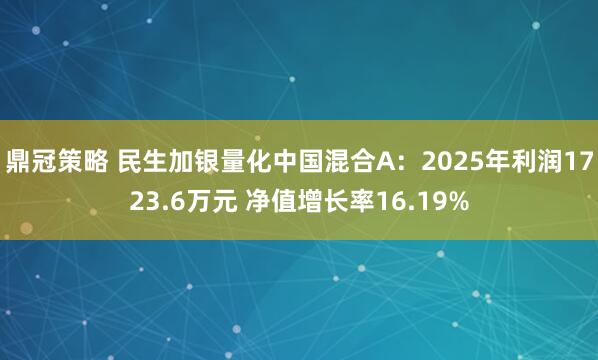 鼎冠策略 民生加银量化中国混合A：2025年利润1723.6万元 净值增长率16.19%
