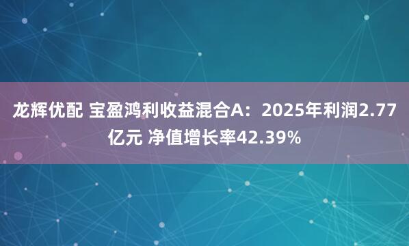 龙辉优配 宝盈鸿利收益混合A：2025年利润2.77亿元 净值增长率42.39%