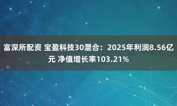 富深所配资 宝盈科技30混合：2025年利润8.56亿元 净值增长率103.21%